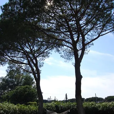 Mas Roubel Apartment Saint-Gilles (Gard)