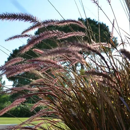 Appartamento Mas Roubel Saint-Gilles (Gard)